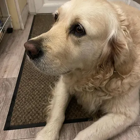 فندق مبيت وإفطار Constance De Bretagne 3*