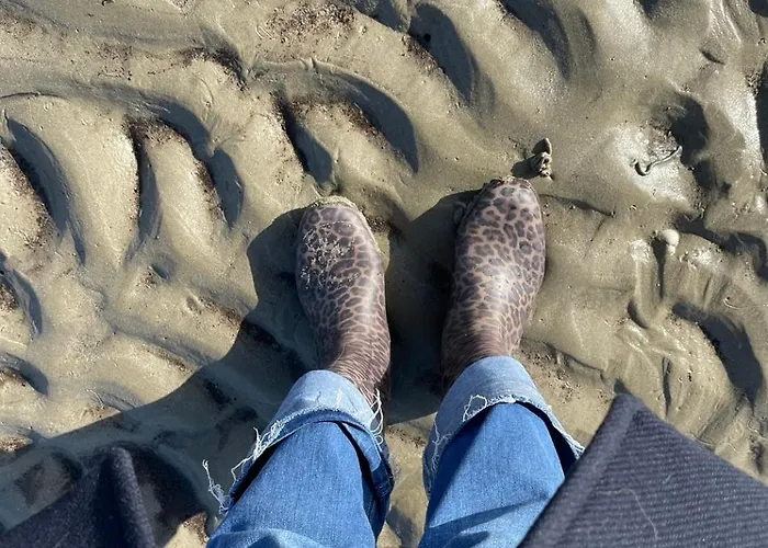 Constance De Bretagne