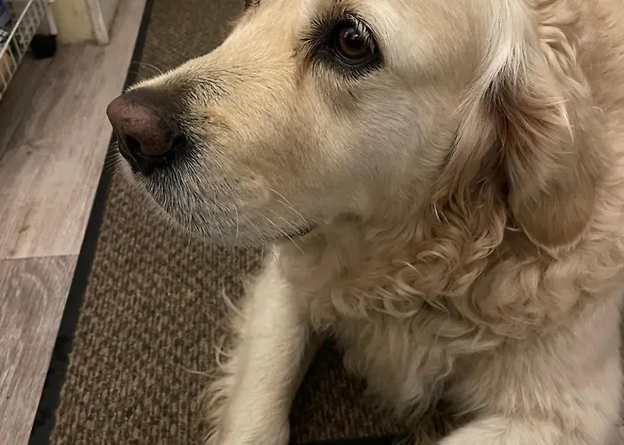 住宿加早餐酒店 Constance De Bretagne 3*