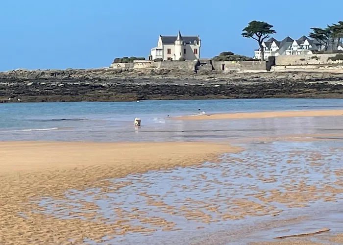 Constance De Bretagne 梅尔河畔的巴兹